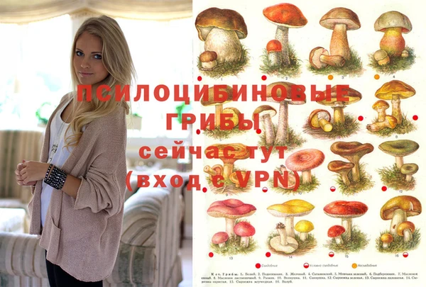 apvp Абаза