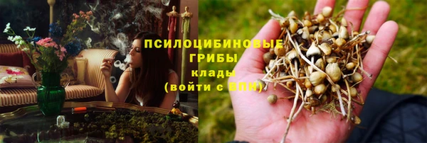 apvp Абаза