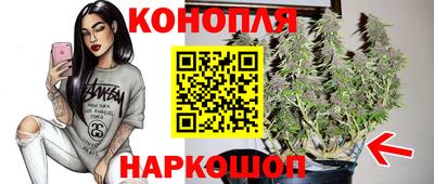гидропоника Краснокаменск
